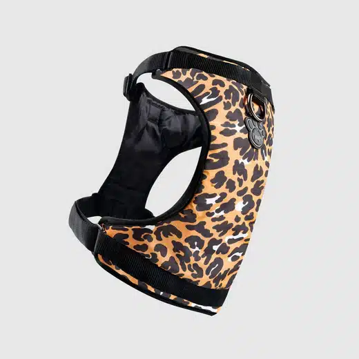 everything harness water resistant series leopard